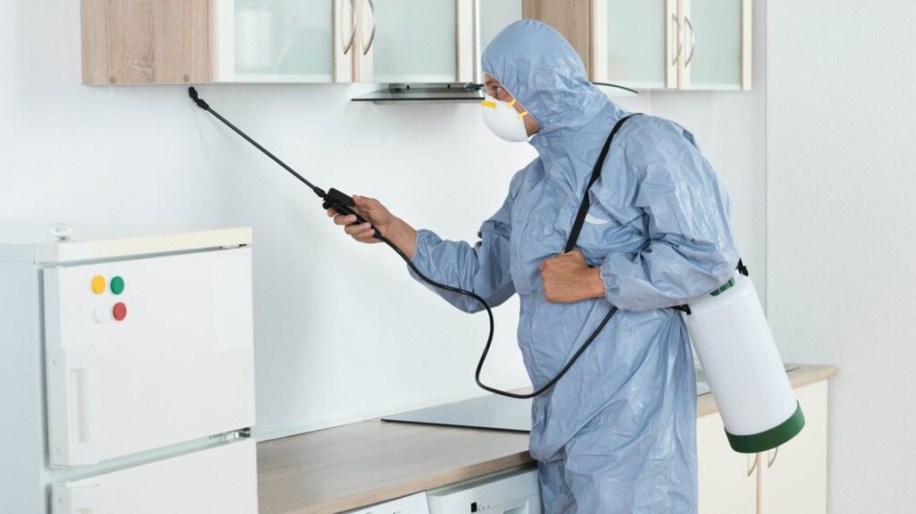 شركة مكافحة حشرات بالدمام